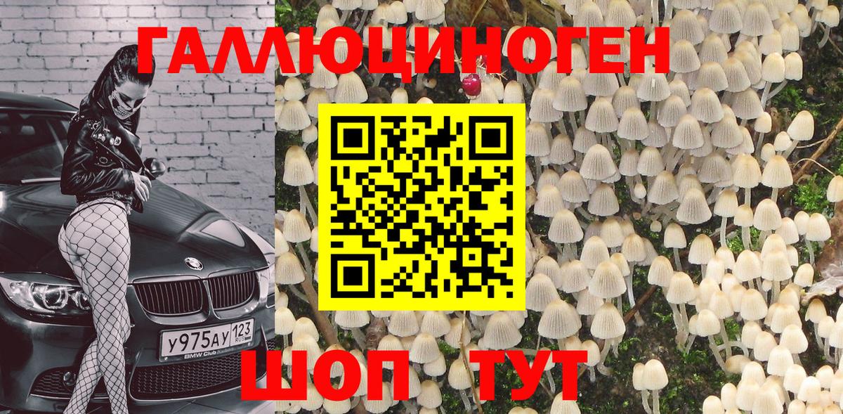 купить наркоту  Вход с VPN  Зима  Псилоцибиновые грибы Magic Shrooms 