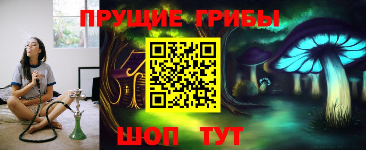 Галлюциногенные грибы Psilocybine cubensis Зима