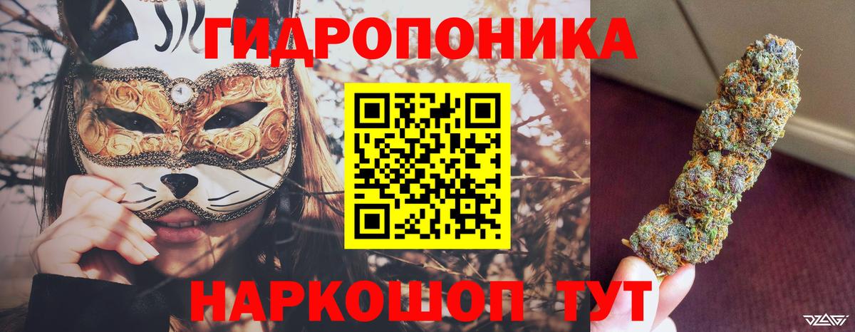 Бошки марихуана марихуана Зима